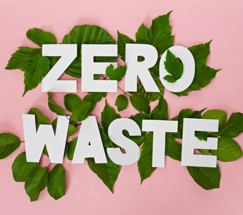 Why Going Zero Waste is the Key to a Sustainable Future